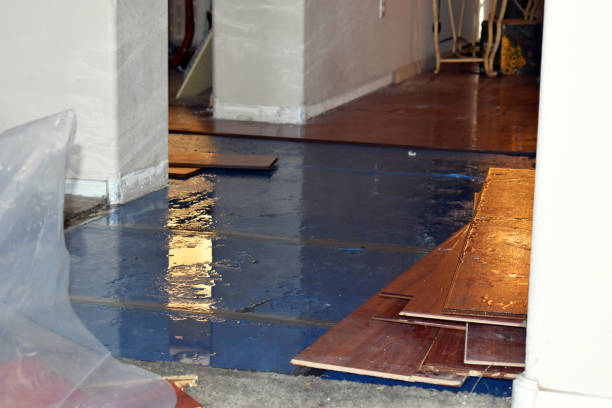 Professional Basement Flood Cleanup technician working in Oregonia, OH